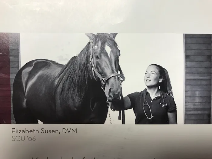 Carolina Equine Clinic Picture 6