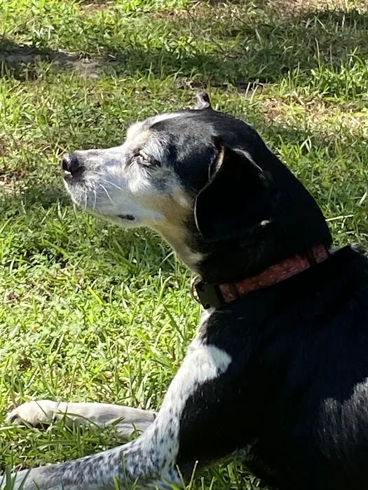 Myres Animal Hospital Picture 5