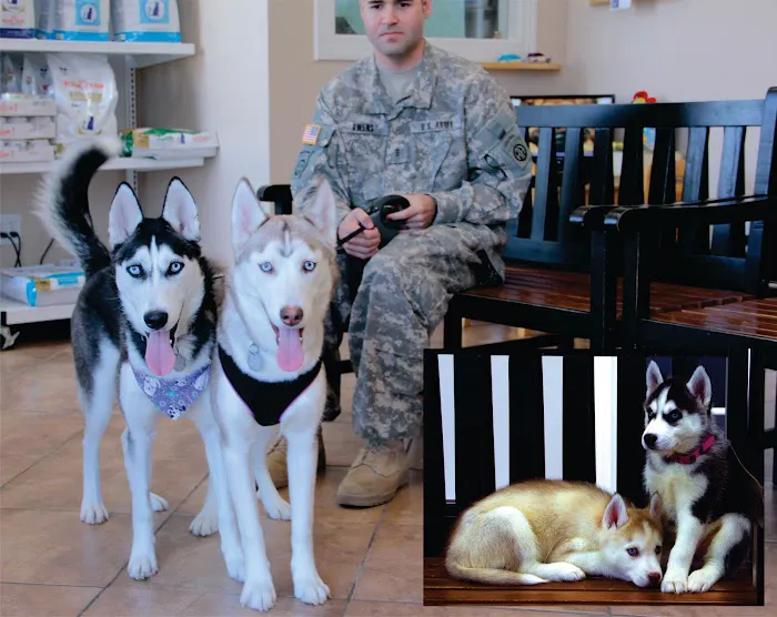 Willow Creek Animal Hospital Picture 7