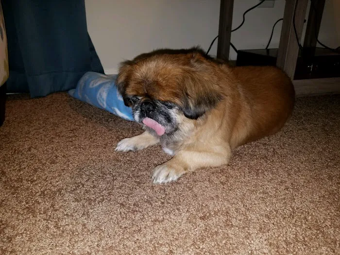 Willow Creek Animal Hospital Picture 10