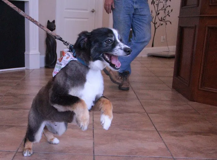 Willow Creek Animal Hospital Picture 6