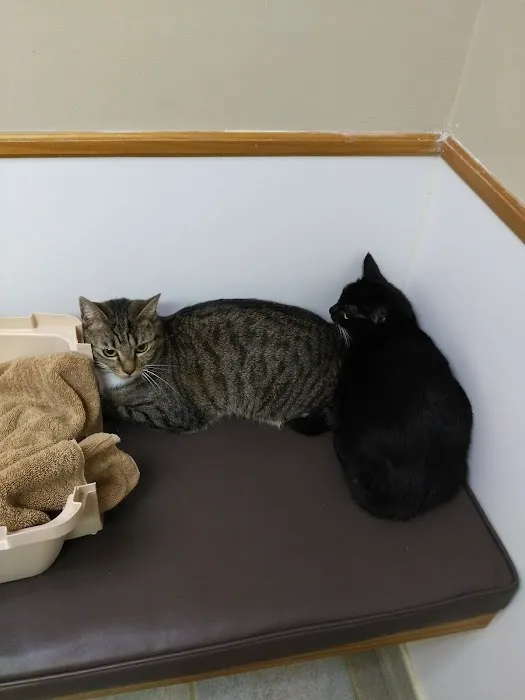 Sanford Animal Hospital Picture 3