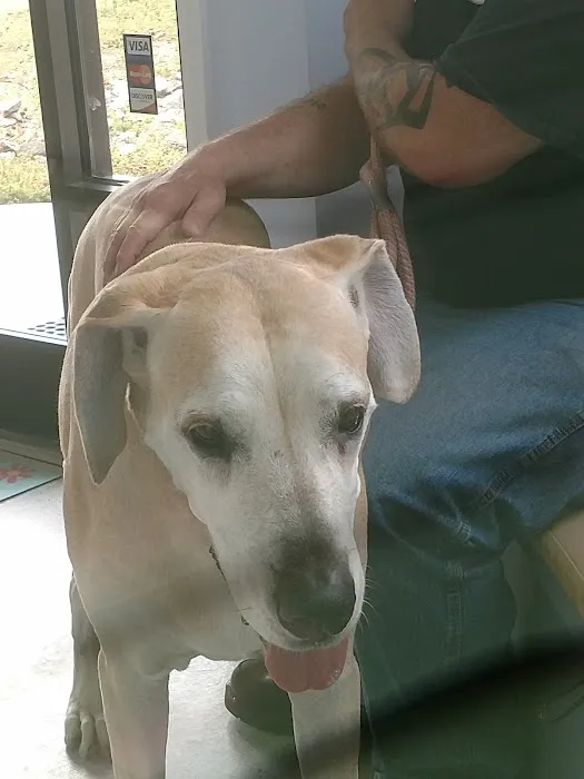 Carolina Veterinary Hospital of Sanford, PC Picture 3