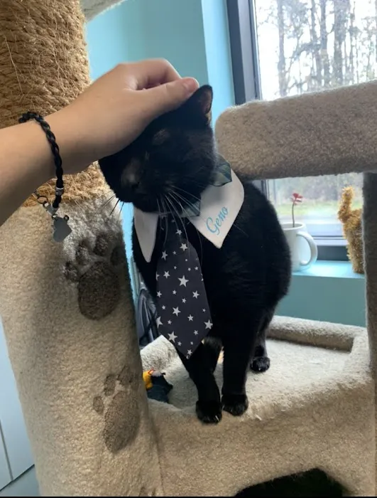 Hope Veterinary Hospital of Holly Springs Picture 8