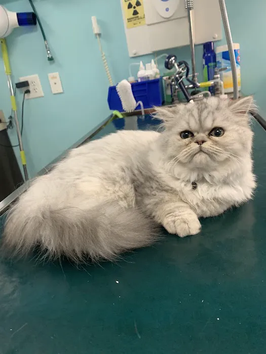 Hope Veterinary Hospital of Holly Springs Picture 9