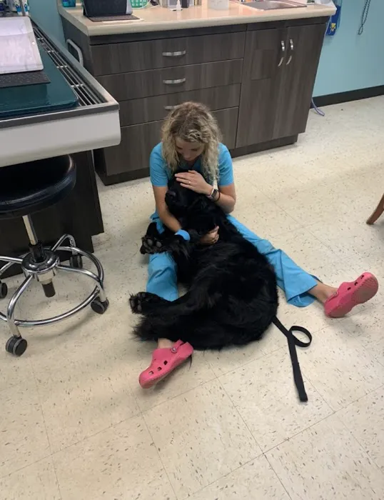 Hope Veterinary Hospital of Holly Springs Picture 3