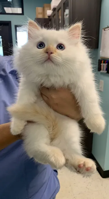 Hope Veterinary Hospital of Holly Springs Picture 1