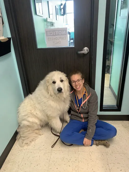 Hope Veterinary Hospital of Holly Springs Picture 5