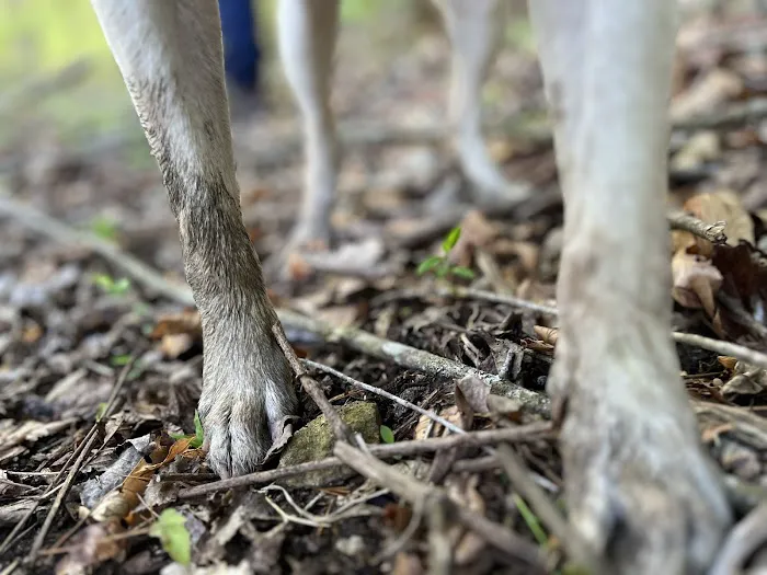 Spring Creek Mobile Veterinary Services Picture 3