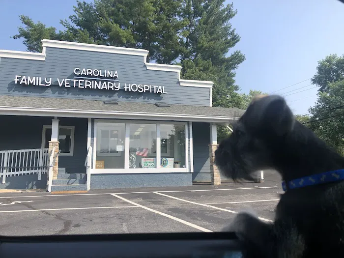Carolina Family Vet Picture 10