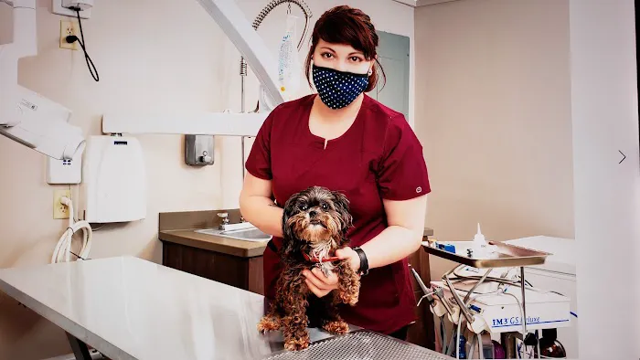 Carolina Family Vet Picture 1