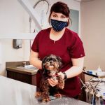 Carolina Family Vet