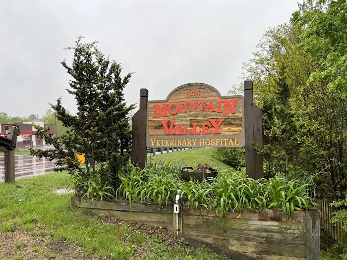 Mountain Valley Vet Hospital Picture 7