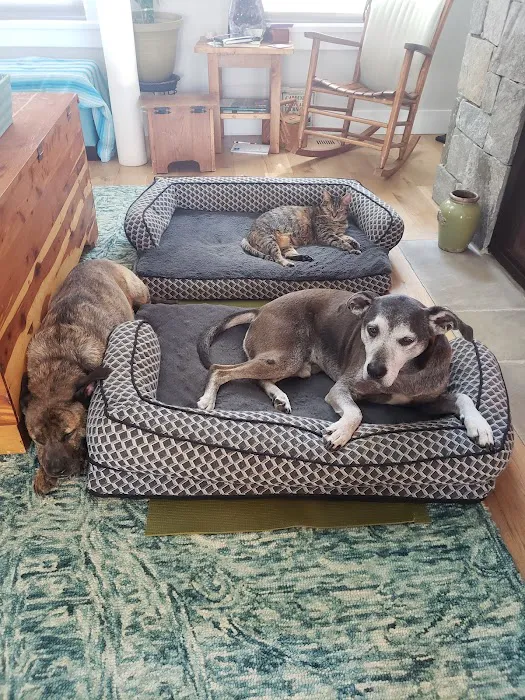 Mountain Valley Vet Hospital Picture 8