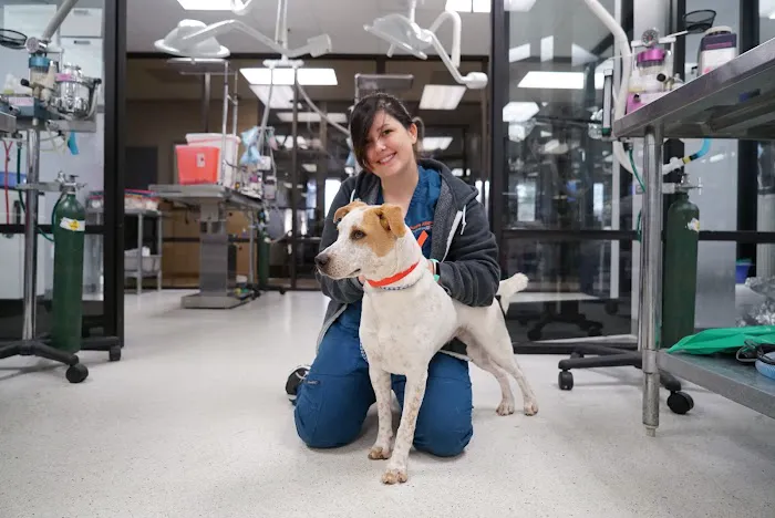 ASPCA Spay/Neuter Alliance Picture 4