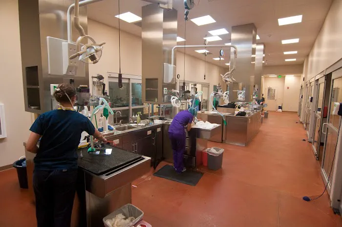 ASPCA Spay/Neuter Alliance Picture 2