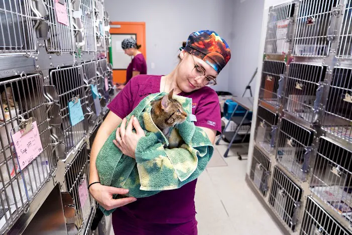 ASPCA Spay/Neuter Alliance Picture 1