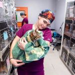 ASPCA Spay/Neuter Alliance