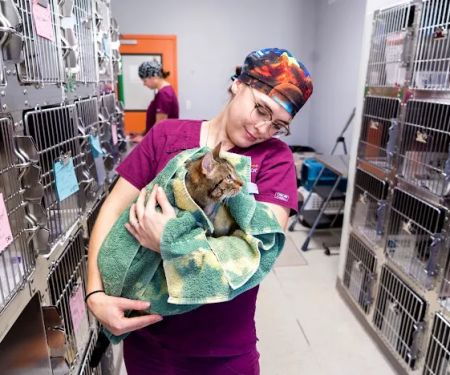 ASPCA Spay/Neuter Alliance