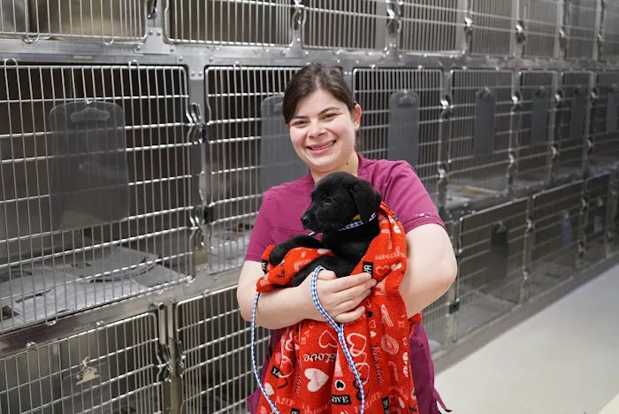 ASPCA Spay/Neuter Alliance Picture 9