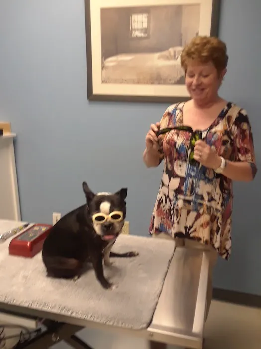 Asheville Animal Acupuncture Picture 5