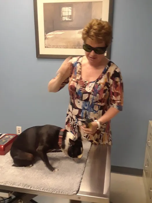 Asheville Animal Acupuncture Picture 3