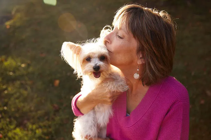 Sunvet Animal Wellness Clinic Picture 5