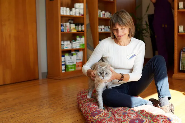 Sunvet Animal Wellness Clinic Picture 1
