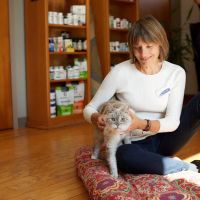 Sunvet Animal Wellness Clinic ico