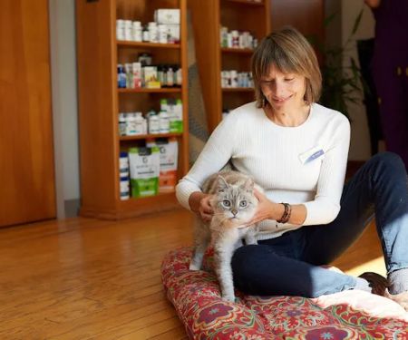 Sunvet Animal Wellness Clinic