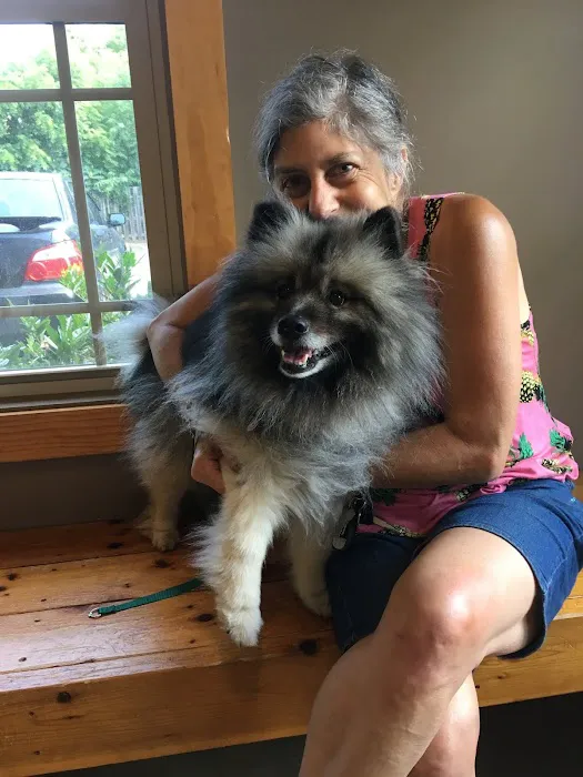 Sunvet Animal Wellness Clinic Picture 3