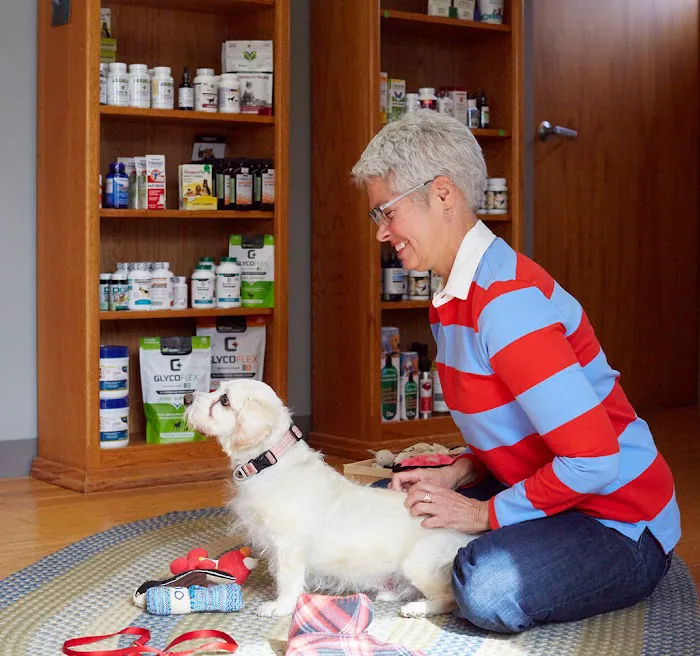 Sunvet Animal Wellness Clinic Picture 10