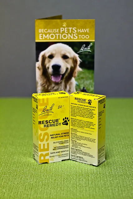 Sunvet Animal Wellness Clinic Picture 7