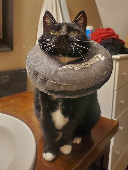 East Tennessee Veterinary Hospital Picture 3