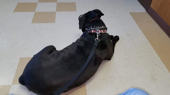 East Tennessee Veterinary Hospital Picture 2