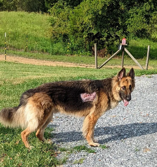 East Tennessee Veterinary Hospital Picture 7