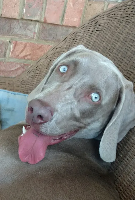 Vet Care Animal Hospital Picture 3