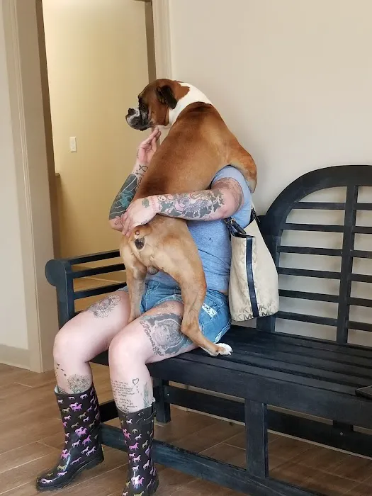 Duckworth Animal Hospital Picture 2