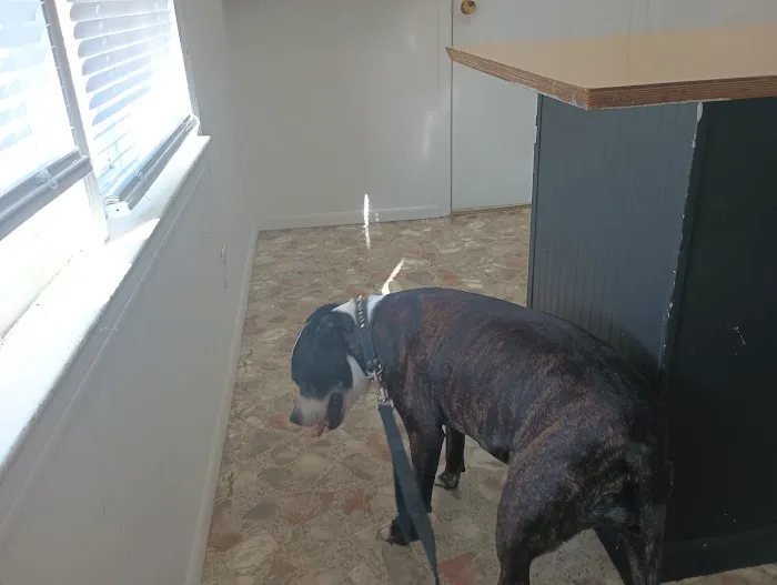 Animals West Veterinary Hospital - James Greer DVM Picture 1
