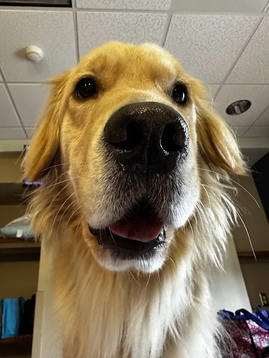 The Pet Vet on Patton Picture 1