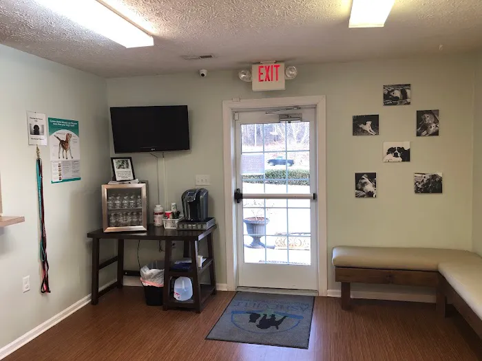 Asheville Veterinary Associates - West Picture 7