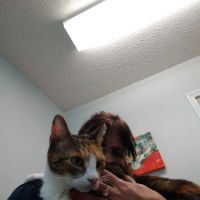 Asheville Veterinary Associates - West ico