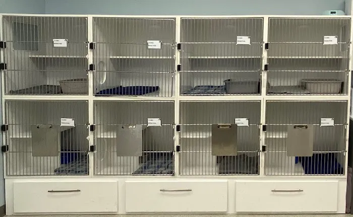 Cat Clinic of Asheville Picture 1