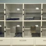 Cat Clinic of Asheville