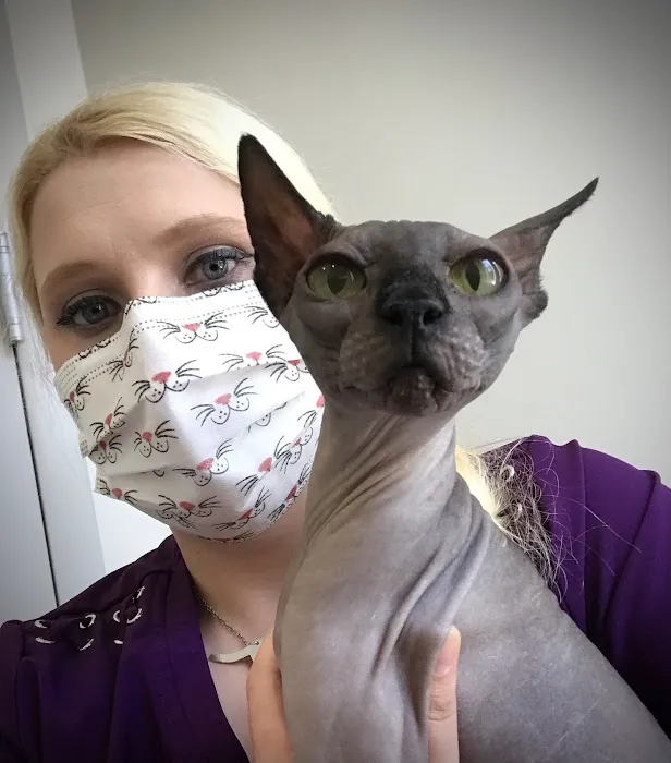 Cat Clinic of Asheville Picture 5