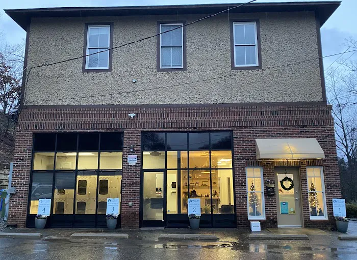 Cat Clinic of Asheville Picture 9