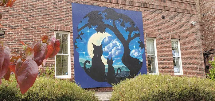 Cat Clinic of Asheville Picture 4