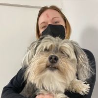 West Asheville Family Vet ico