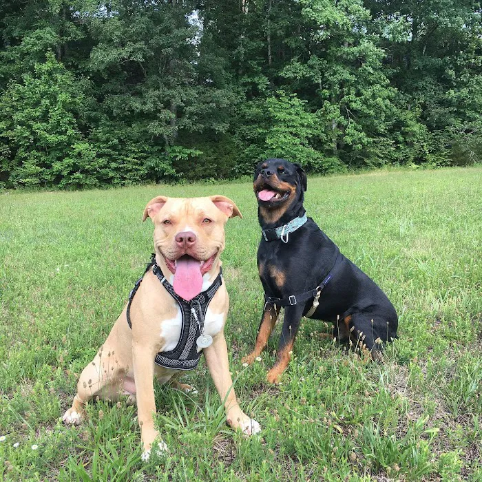 West Asheville Family Vet Picture 9