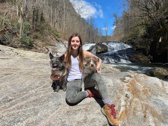 West Asheville Family Vet Picture 3